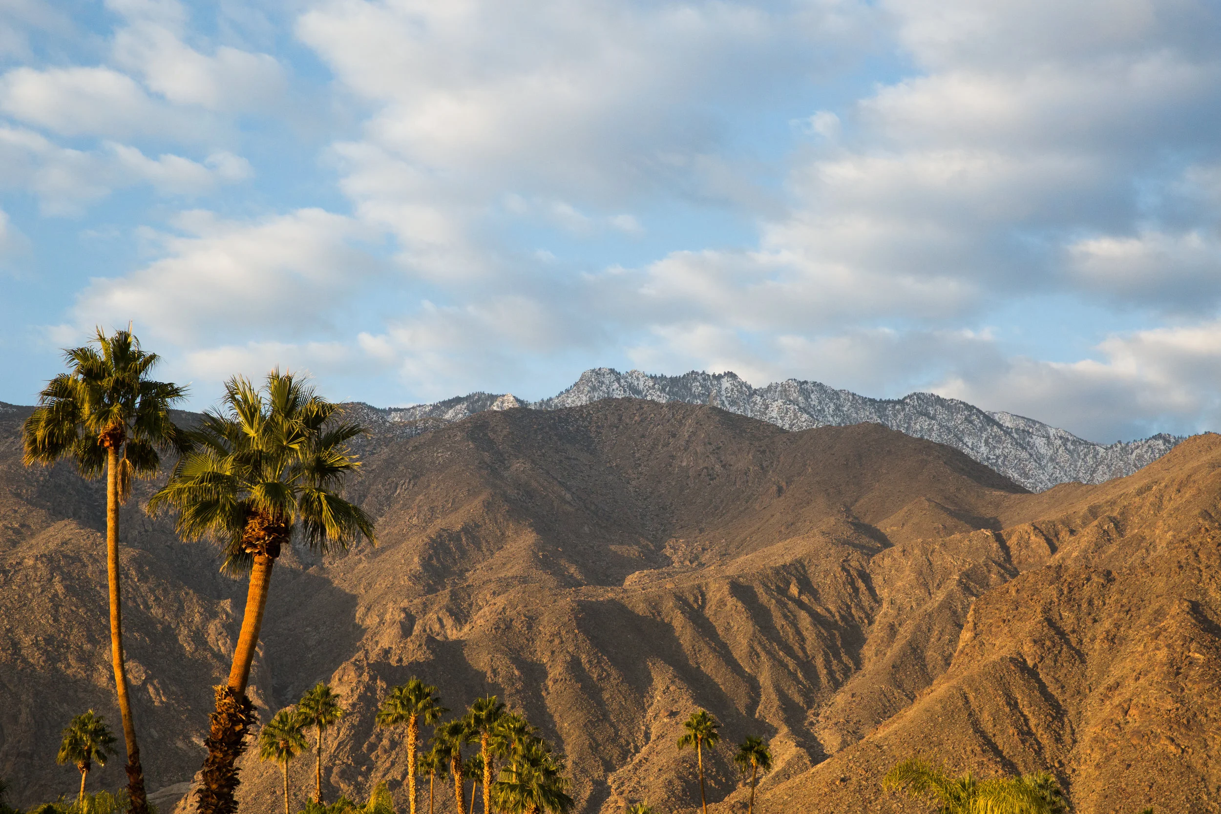 ARRIVE Palm Springs in Palm Springs, California