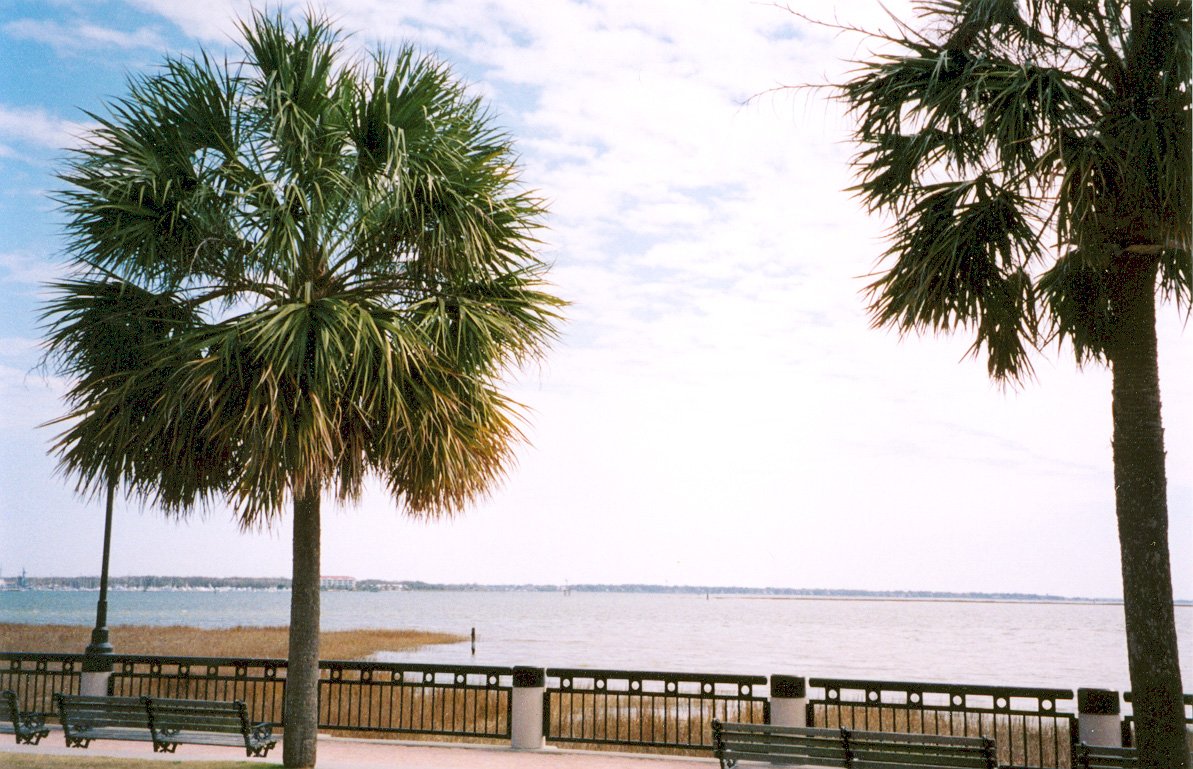Travel view of Charleston, South Carolina