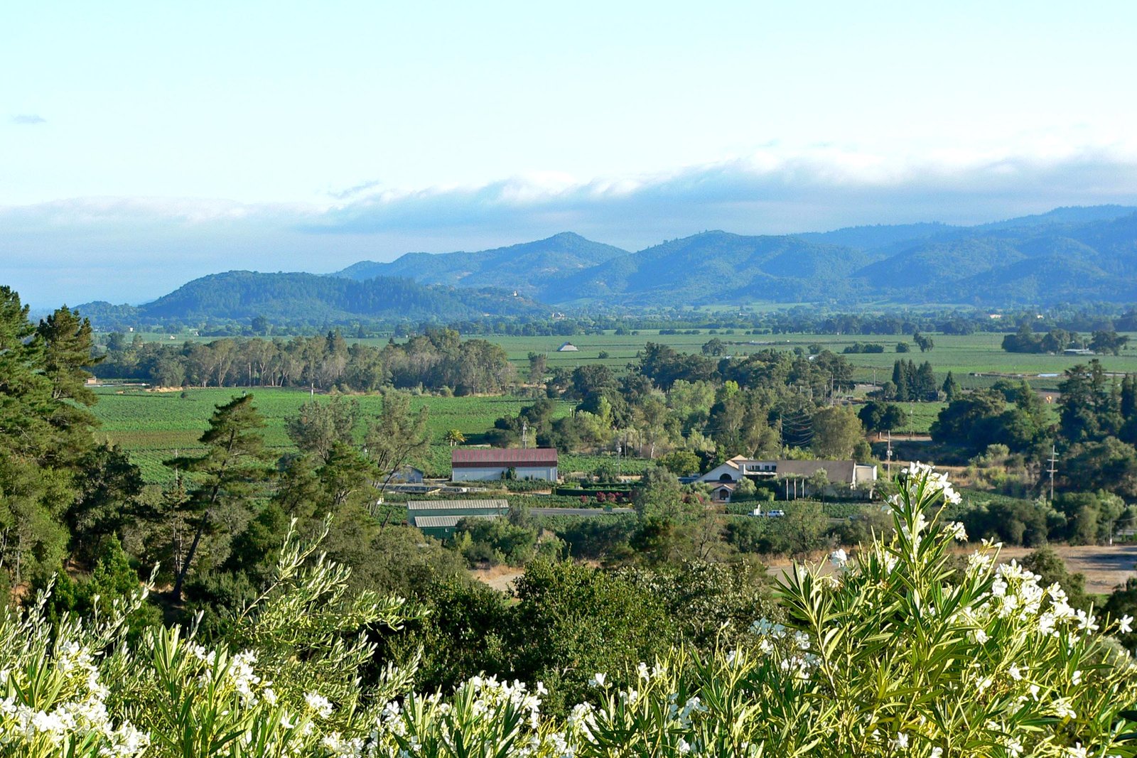 Auberge du Soleil in Rutherford (Napa Valley), California