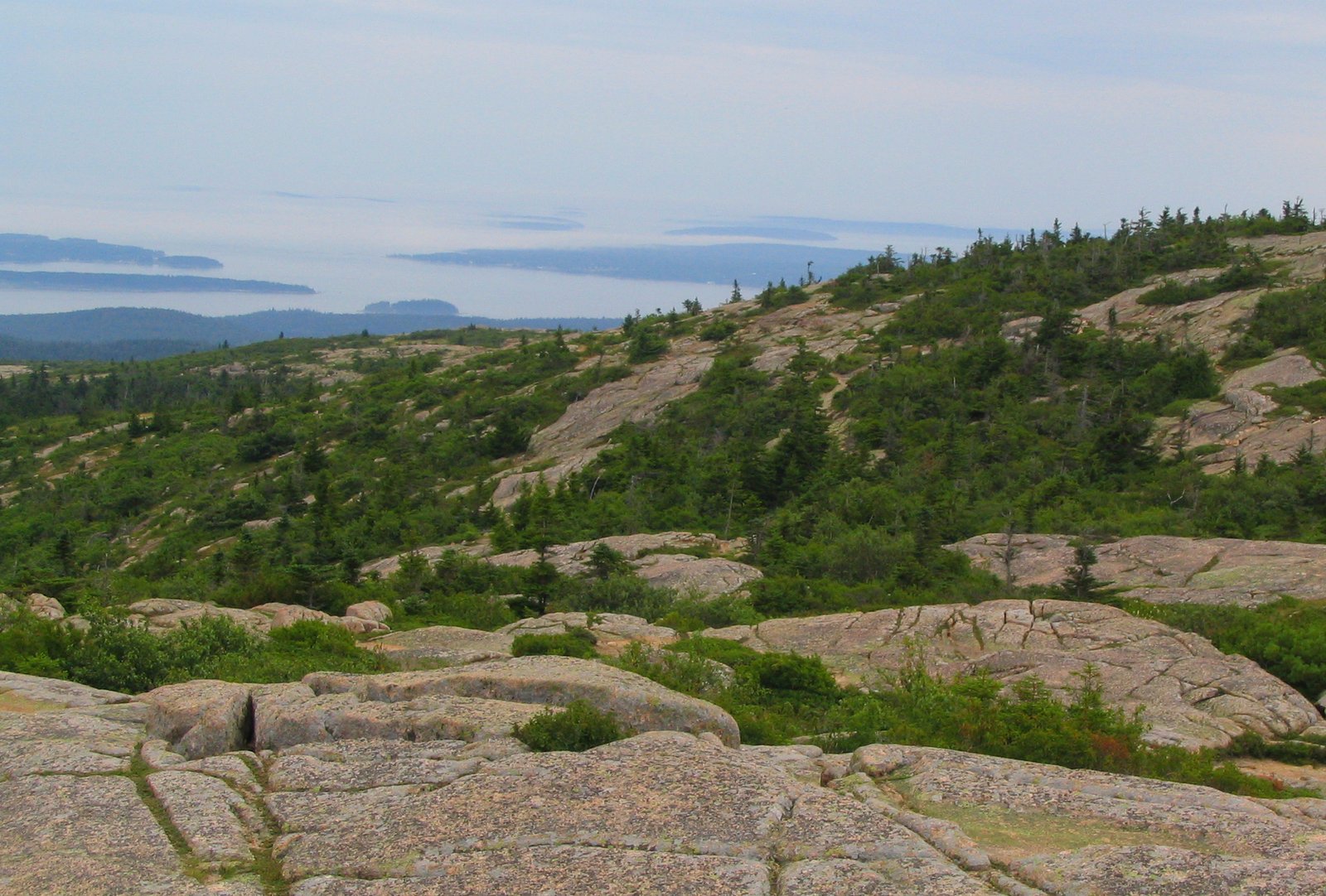 Outdoor scenery in Acadia National Park, Maine