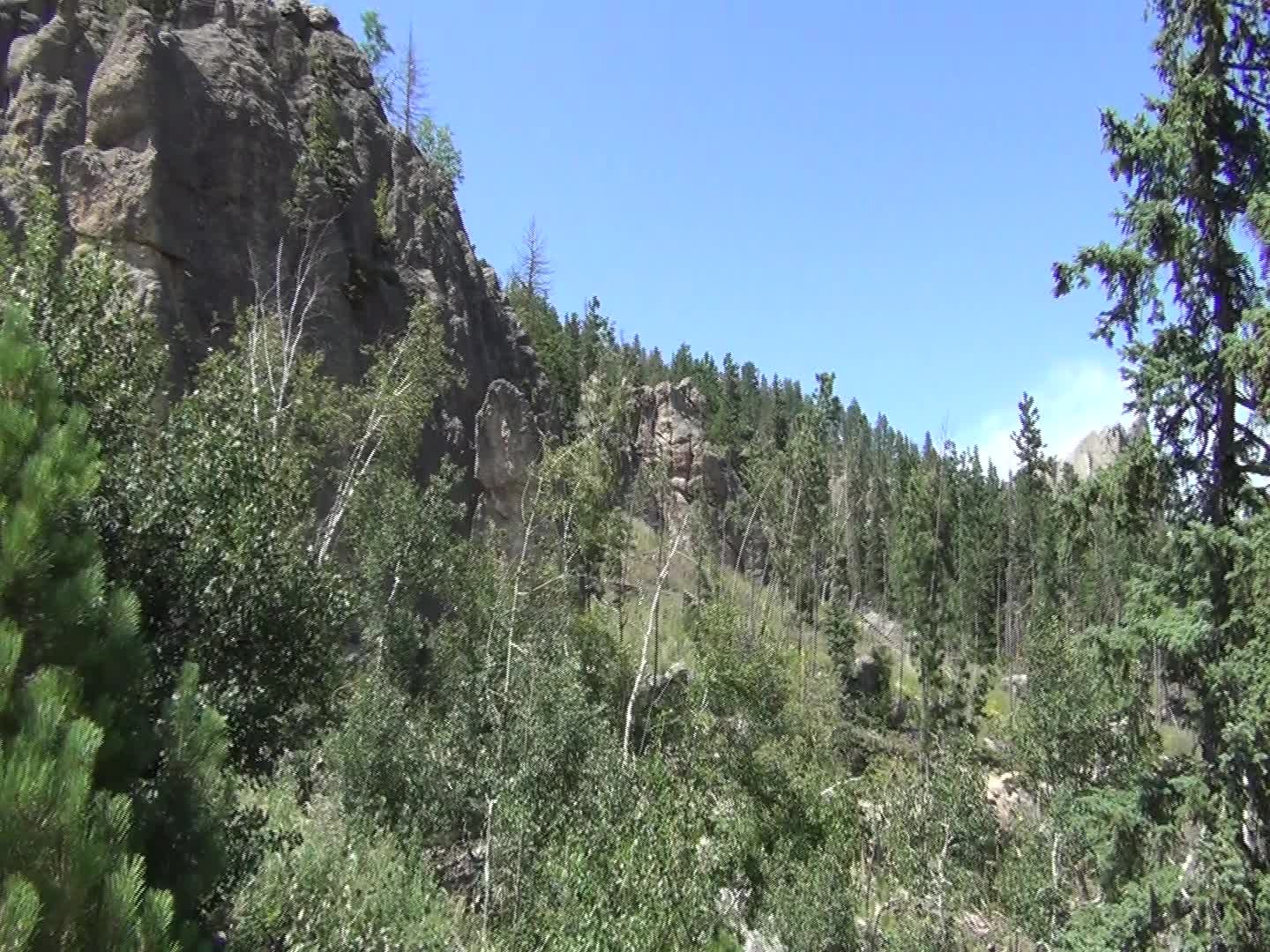 Road-trip scenery in Black Hills, South Dakota