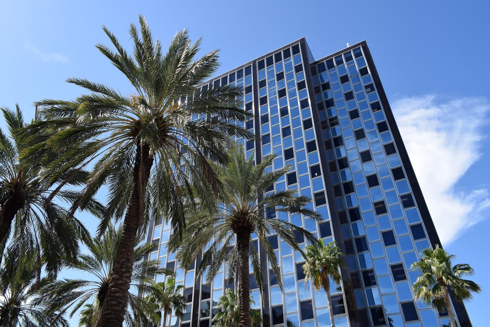 Photo of Miami, Florida