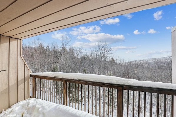 Notchbrook Condo — Near Mountain, Seasonal Heated Pool vacation rental in Notchbrook (Mountain Road mid‑slope)