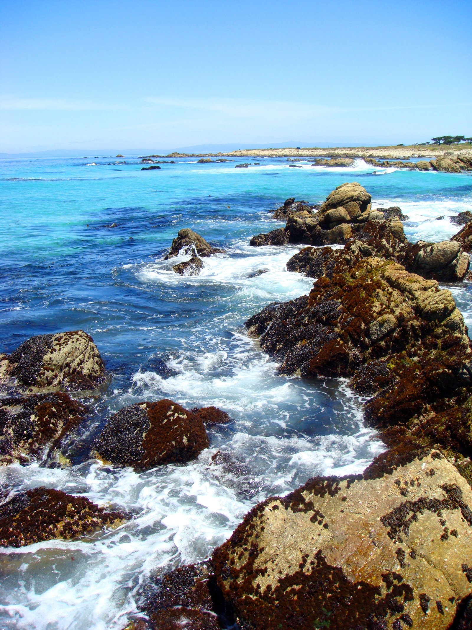 Beach scenery in Monterey, California