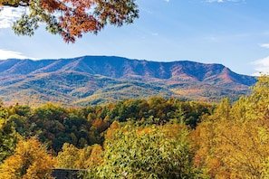 Relax in Mtn Cabin w/ Scenic Views, Private Hot Tub, Easy Access to Heated Pool vacation rental in Gatlinburg (mountainside)