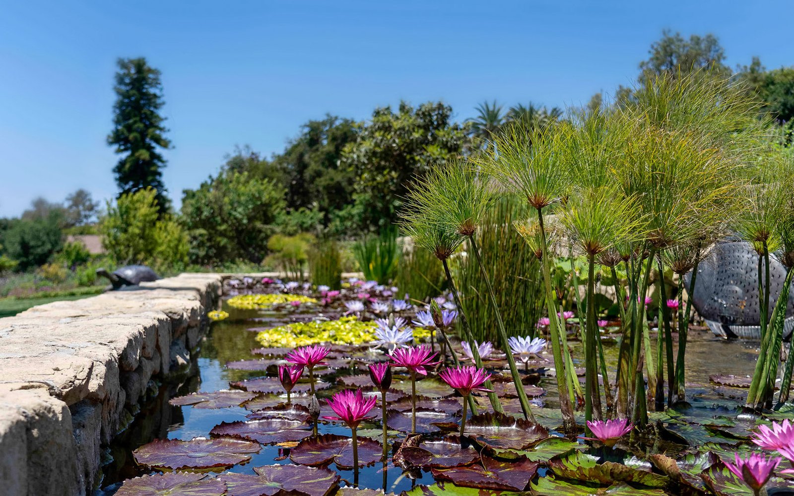 San Ysidro Ranch in Montecito, California